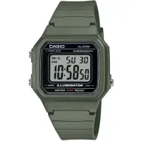 在飛比找momo購物網優惠-【CASIO 卡西歐】卡西歐野戰電子錶-綠色(W-217H-