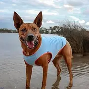 Huskimo Dog Coat Chill Blue 40cm – Soft Microfleece Dog Jacket with Subzero Temperature Control Fabric, Dual Zip & Velcro Adjustments, Machine Washable