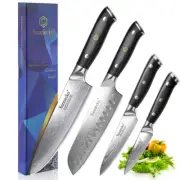 Sunnecko 4PCS Kitchen Knife Set Chef Knife Damascus Steel Meat Paring Slicer