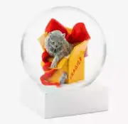 "CAT PLAYING IN BOX" SNOW GLOBE, COOL SNOW GLOBE, 4" TALL, NEW IN GIFT BOX