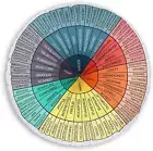 Wheel of Emotions Feelings Pillow round Throw Circle Seating Floor Cushion Comfo