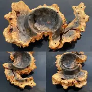 Buckeye Burl Wooden Winged Bowl 12x7x3”Handcrafted Centerpiece One Of A Kind