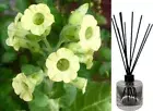 TOBACCO FLOWER & OAK - Reed Diffuser