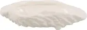 Alipis Ceramic Sushi Plate Unique Oyster Shell Design Dinnerware for Sushi Desserts Appetizers for Buffets Parties Everyday Use