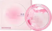 Setting Powder Makeup | Matte Natural Press Powder | Concealers Neutralizing Makeup for Setting Finishing Everyday Travel Use Daughter Wife Friends Family
