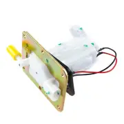 EFI Fuel Pump for Lexmoto Tempest 125 LJ125-9A/Tempest GT 125 LJ125-9A-GT Petrol