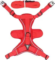 Cat Harness, Harness for Cats, Breathable Cat Vest Harness, Cat Harness and Lead Set for Walks with Kittens and Puppies, Escape Proof Kitten Harness, Reflective