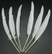 50Pcs Natural White Goose Primary Wing Feather Arrow Making Party Costume Decor
