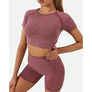 Women's 2 Pieces Workout Sets Shorts and Crop Top Solid Color Clothing Suit Dark Grey Lake Blue Gym Workout High Waist Stretchy Breathable Short Sleeve Sport A