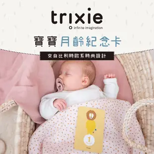 Trixie 比利時 寶寶月齡紀念卡 彌月禮【朶玫黎官方直營】