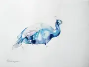 Pavo, Birds, Watercolor artwork, Handmade, Original painting on paper
