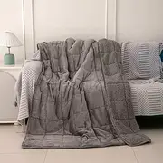 Sherpa 10lb Weighted Blanket for Adult, Both Sides Reversible Velvet Soft Plush Weighted Heavy Blanket for All Season Grey 48in*72in