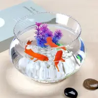 在飛比找momo購物網優惠-【JEN】多功能花邊透明玻璃魚缸微景缸生態造景水培植物花瓶擺