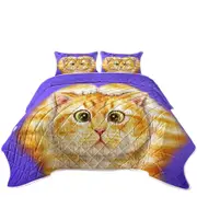 Funny Cats Drawings Cute Ginger Kitty Coverlet