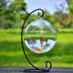 風格歐式玻璃花瓶懸掛式水培魚缸裝飾家用裝飾玻璃工藝品 (7.3折)