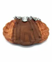 Acacia Clam Shell Tray Vanity Bathroom Coins Change Fancy Decor Shells Ocean Sea