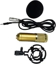 Yardwe -800 Capacitor Microphone High Sensitivity Double-Layer Mesh Design Connector for Vocal Recording and Karaoke