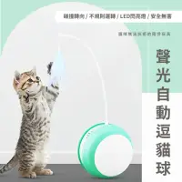 在飛比找momo購物網優惠-羽毛聲光自動逗貓球(USB 貓咪玩具 滾動球 不倒翁 寵物玩