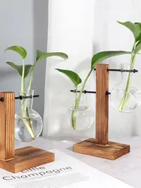 在飛比找松果購物優惠-簡約風玻璃花瓶 創意水培植物容器 透明桌面擺件 (8.3折)