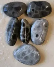 6 BEAUTIFUL SMALL Unpolished Petoskey Stone Michigan Coral Fossils jewelry 1" M2