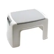 Boxsweden H21cm Multi-Purpose Kids Plastic Single Step Stool Ladder Grey