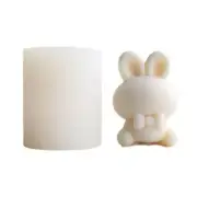 3D Easter Mold Resin Soap Handmade Making Fondant Cake