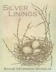 Silver Linings: Introduction to Silverpoint Drawing by Banjie Getsinger Nicholas