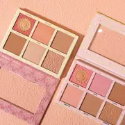 Blush Palette High Gloss Matte Fine Glitter 3-Dimensional5401