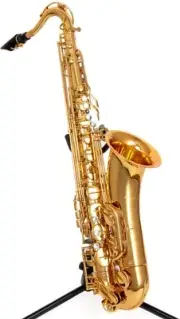Wisemann DTS-500 Tenor Saxophone, Bb, with high canvas case and mouthpiece