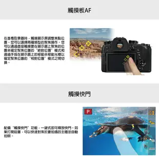 Panasonic LUMIX 4K高倍變焦數位相機 DC-FZ1000II 公司貨