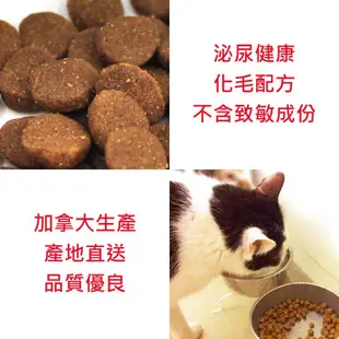 現貨【猋30/18挑嘴成貓3kg泌尿健康化毛配方】加拿大PURE全齡成貓飼料乾糧貓糧3公斤【MOMOCAT摸摸貓】E25