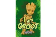 Guardians Of The Galaxy I Am Groot Poster (Gold/Green/Orange) (One Size)