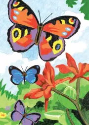 Mini Color Pencil By Number Kit 5"X7" Bright Butterflies