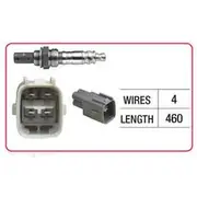 RAE Oxygen Sensor - OX826