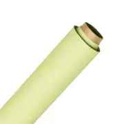 Spectrum Non-Reflective Full Paper Roll Backdrop (2.2 x 10M) - Smashed Avocad...