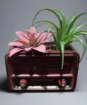 Vintage Radio Planter with Realistic Artificial Succulents