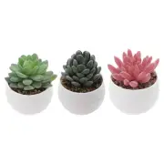 Artificial Succulents Set, 3Pcs Artificial Plant in Round Pot, Colored