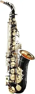 Melodic Alto Saxophone Alto Sax Brass Eb Be E-flat with Mouthpiece Case Straps Cleaning Brush Cloth Gloves for Beginner Student