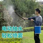 充電式電動噴壺洗車抽水澆花灑水噴霧器園藝水槍噴槍消毒打藥家用