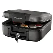 SentrySafe Charcoal Gray Fireproof and Waterproof Safe Box with Key Lock Port...