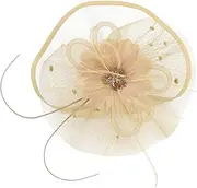 [Healvian] Veil Fascinator Hat with Hair Clip Headband Elegant Costume Accessory for Women for Tea Parties and Weddings Unique Mesh Design for Glamorous Look