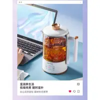 在飛比找ETMall東森購物網優惠-奧克斯煮茶器全自動多功能家用辦公室小型花茶杯燒水壺迷你養生壺