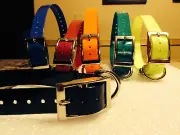 Sport Dog Tri-Tronics 1" Compatible Hi Flex Strap Square Buckle