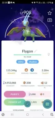 Shiny Shadow Flygon Pokemon Trade Go