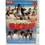 懷舊經典日劇DVD 震撼鮮師/震撼教師(志田未來、速水道茂虎)