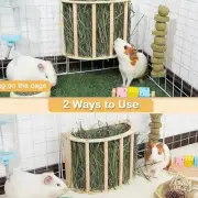 Rabbit Hay Feeder Less Wasted Grass Dispenser for Ferret Guinea Pig Hedgehog