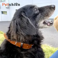 在飛比找松果購物優惠-【Petshion】狗項圈 寵物頸圈 真皮項圈 C3-L (
