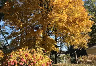 萊因貝克山牆旅館