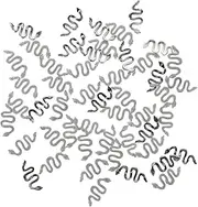 PLAFOPE 50pcs Snake Nail Charms for Nails Unique Retro Design Easy Application for DIY Crafts and Manicure for Beginners and Professionals