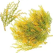 Kisangel 20pcs Simulated Rice Material Artificial Rice for Decoration Stalk Ear Stems Festival Small Decorate Faux Dried Wheat with Decorating Fake Wheat Grass Fake Plant Yellow